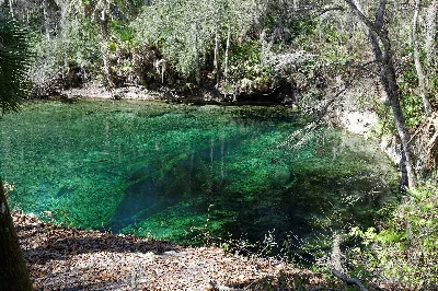 Blue Spring State Park