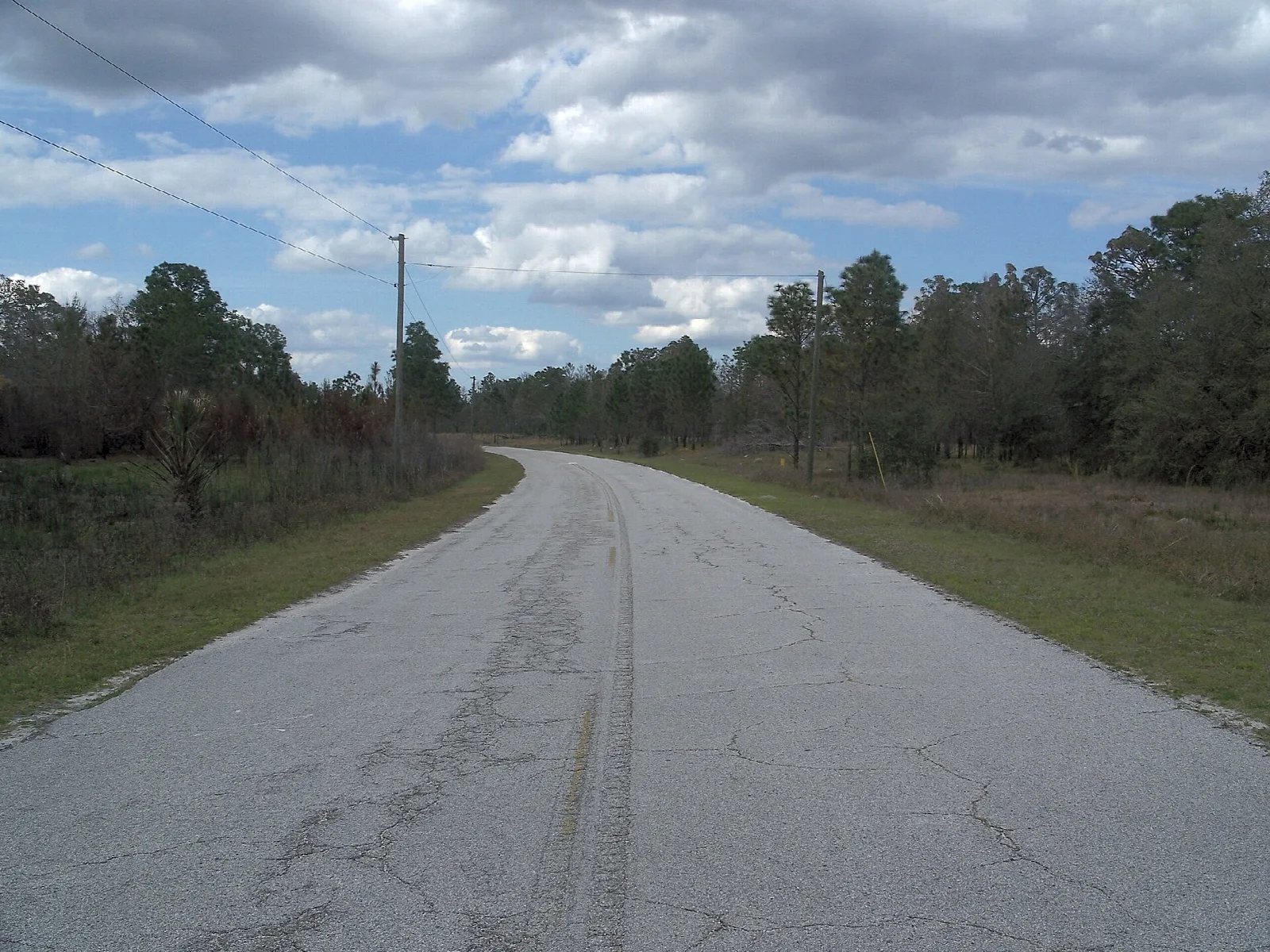 Paved road running through open flatwoods under a cloudy sky