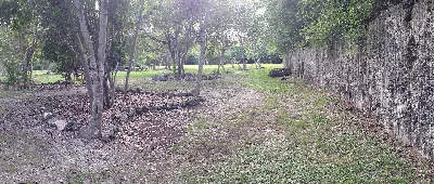 Windley Key Fossil Reef Geological State Park