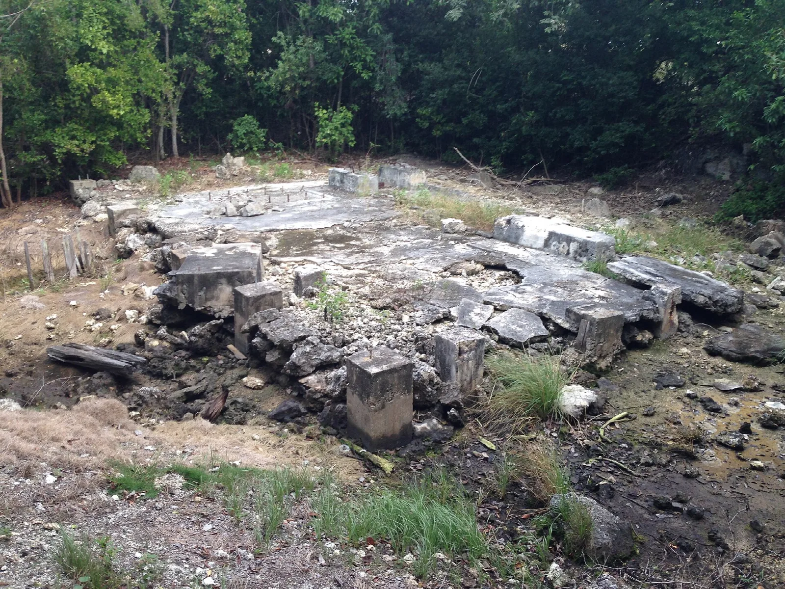 Stone quarry ruins among green brush