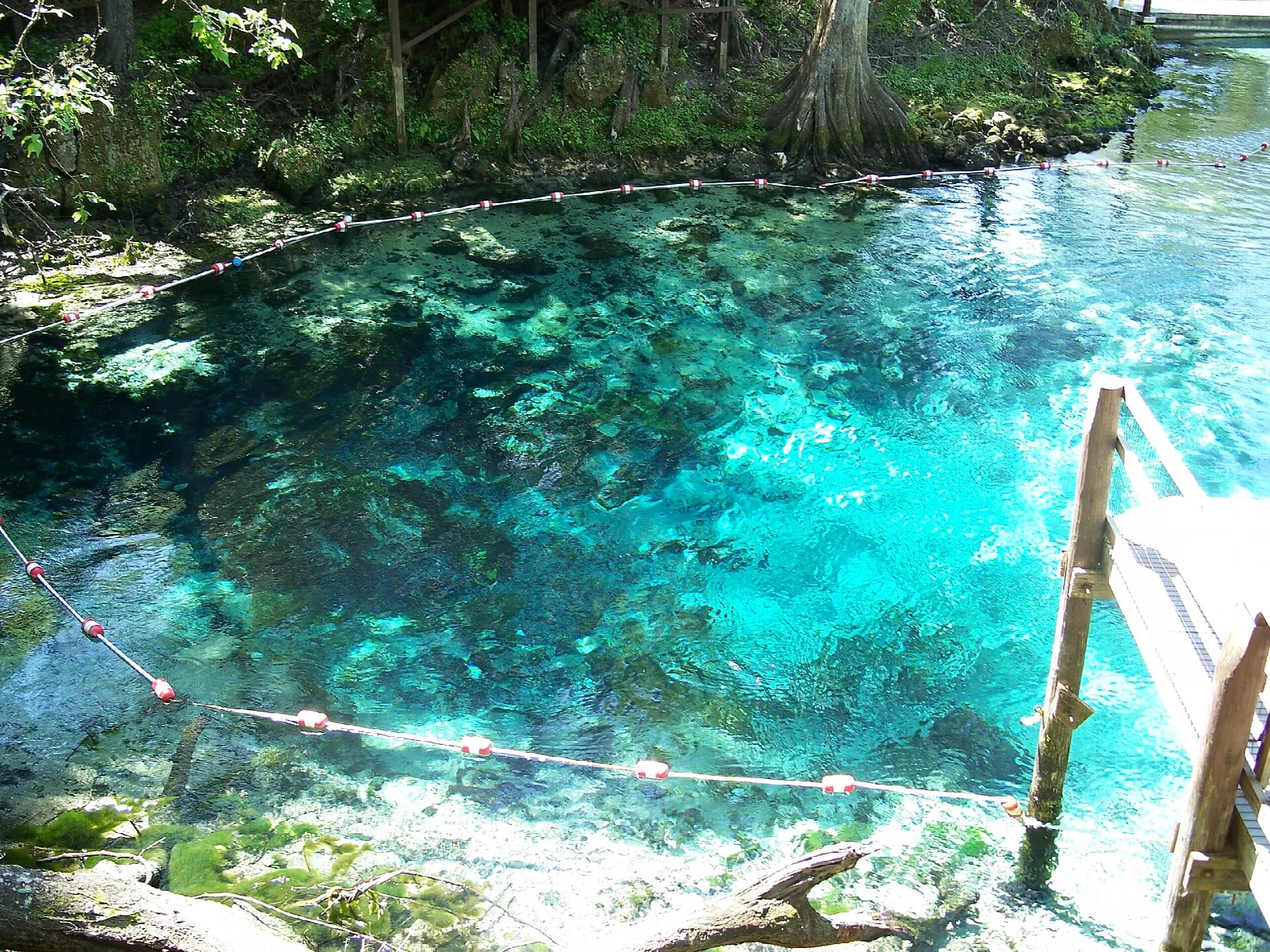 Bright turquoise spring pool with a ladder and a rope line