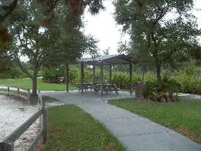 Werner-Boyce Salt Springs State Park