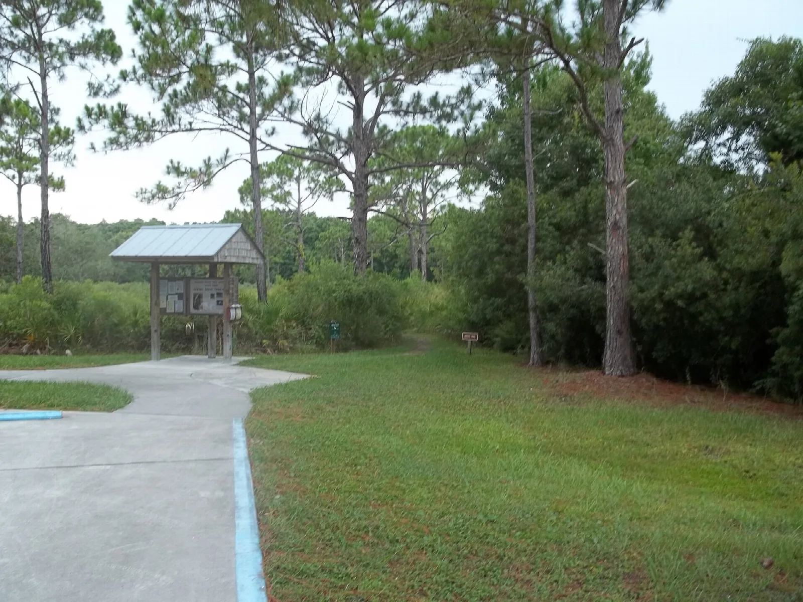 Paved path leading to a small kiosk with pines behind