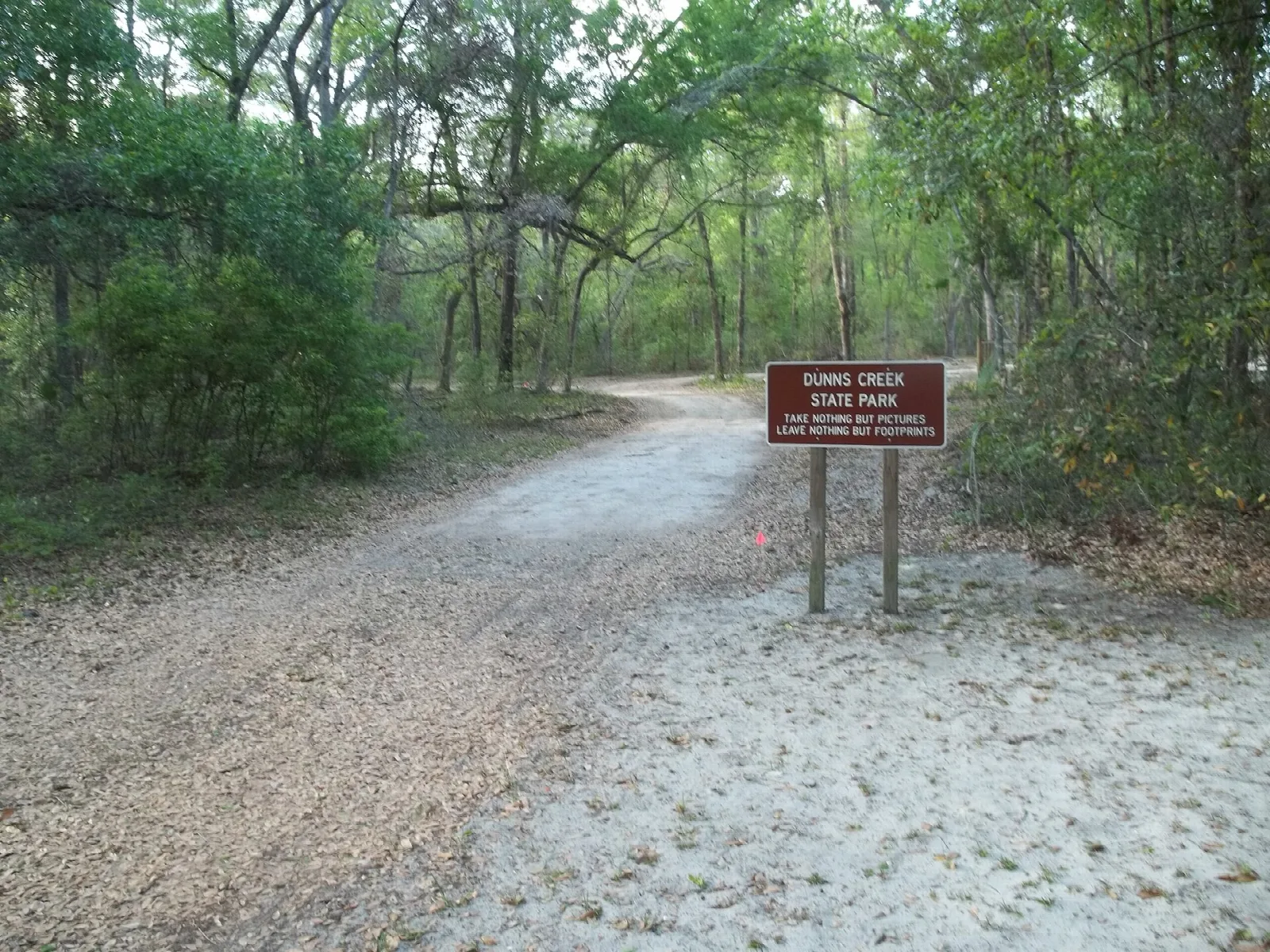 Sandy trail entering woods past a park sign