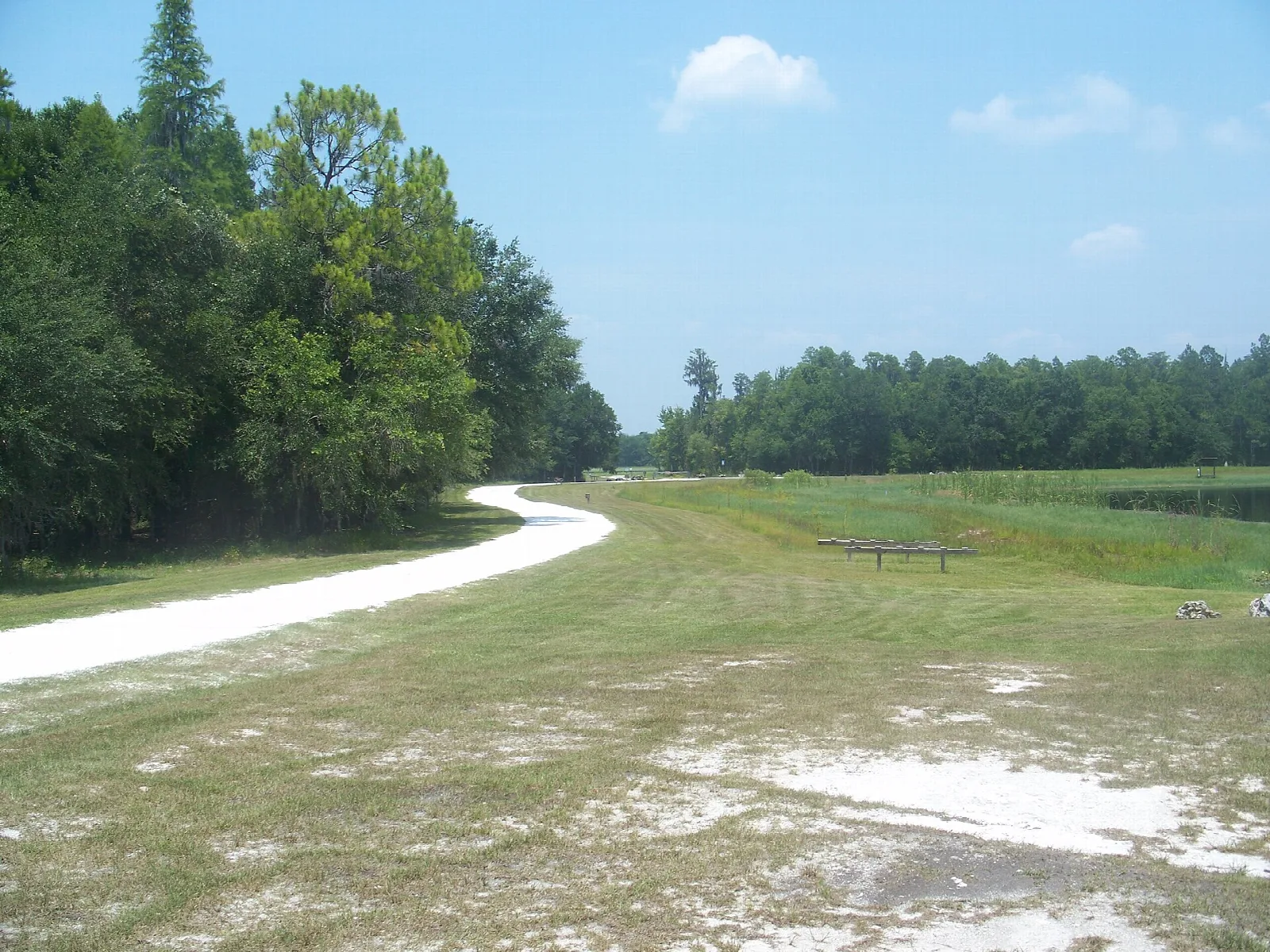 White sand road bending beside a grassy field and trees