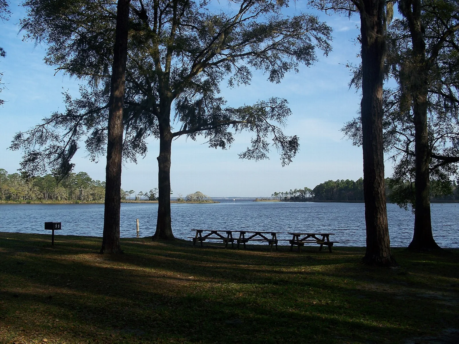 Bayou seen through pines with picnic tables on the shore