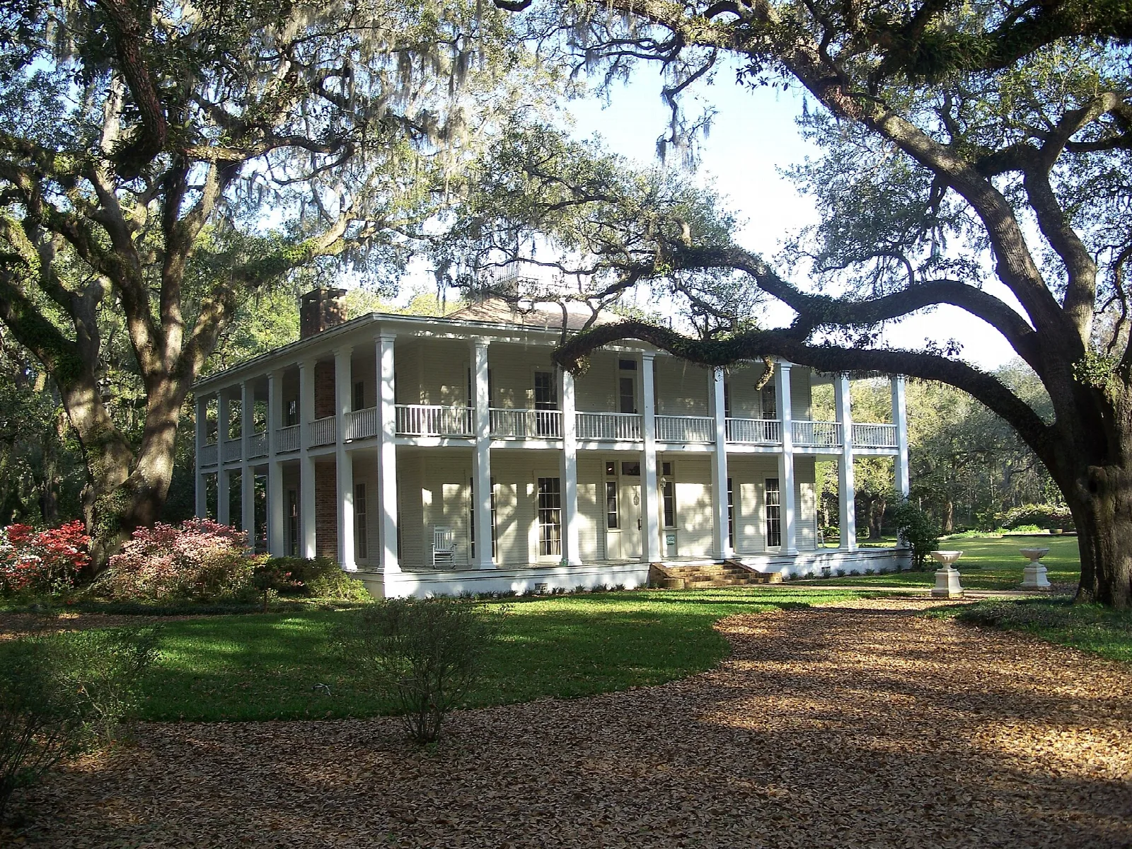White two-story mansion with columns under big live oaks