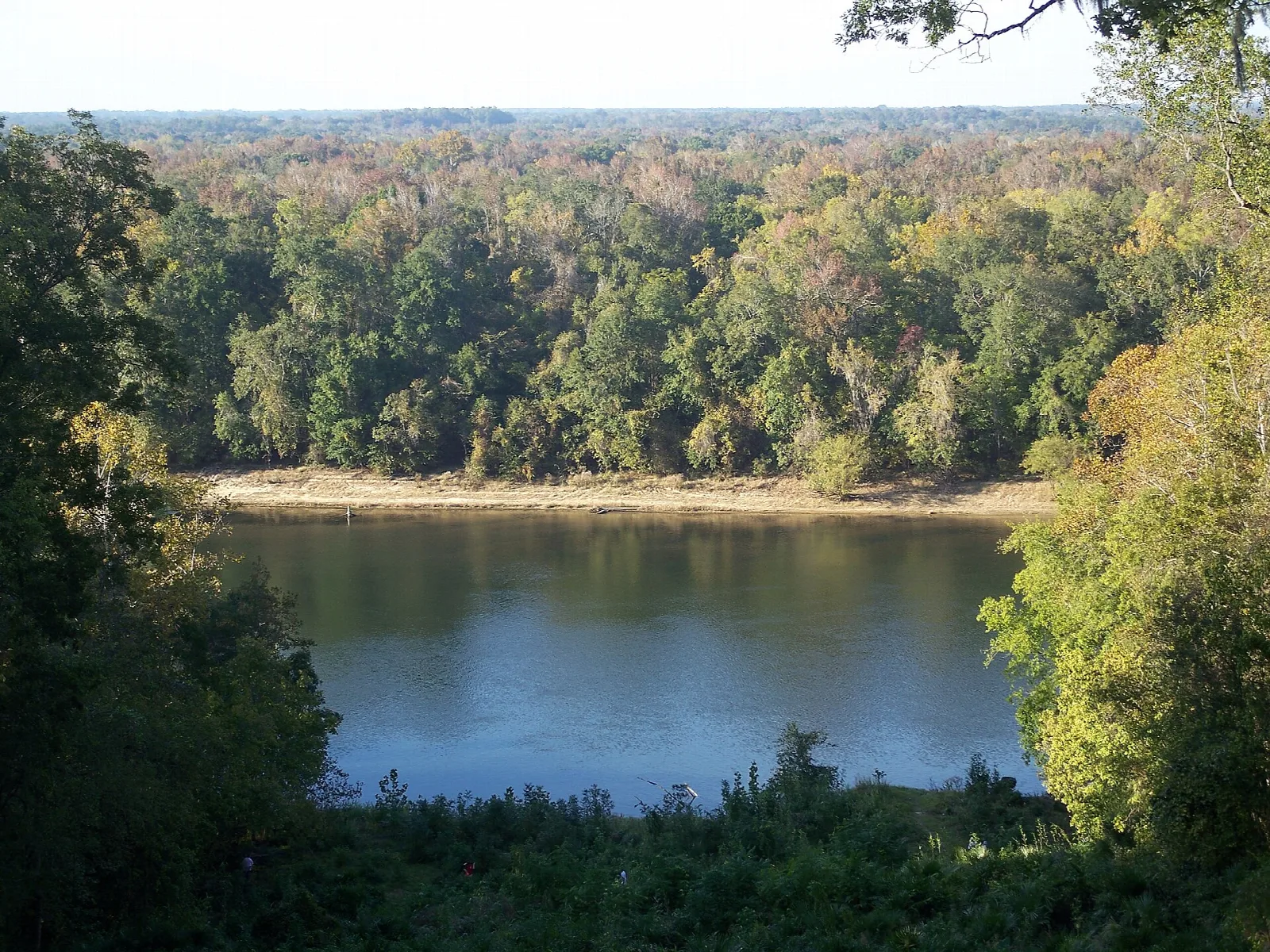 Wide river seen through fall trees from a bluff