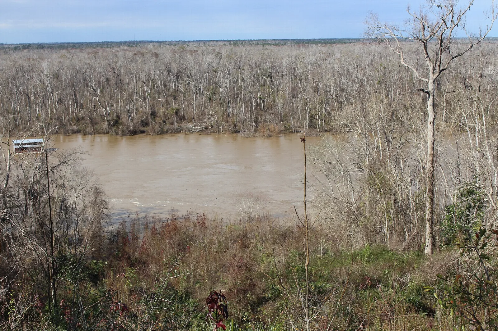 Wide brown river with wooded banks seen from the bluff
