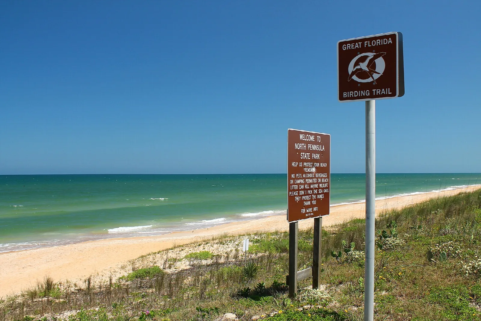 Green ocean and sandy beach seen from the dunes