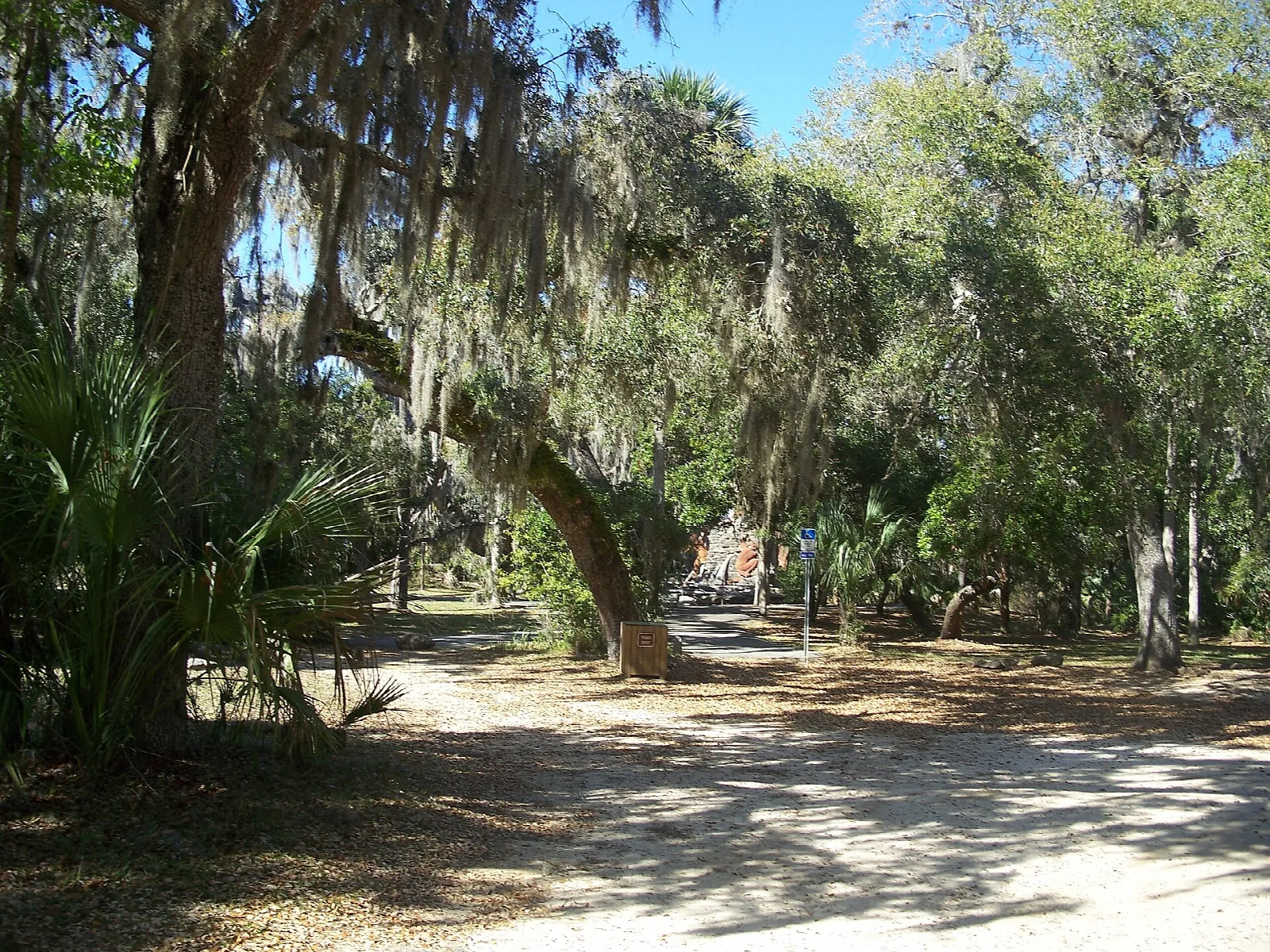 Sandy path under live oaks and palms