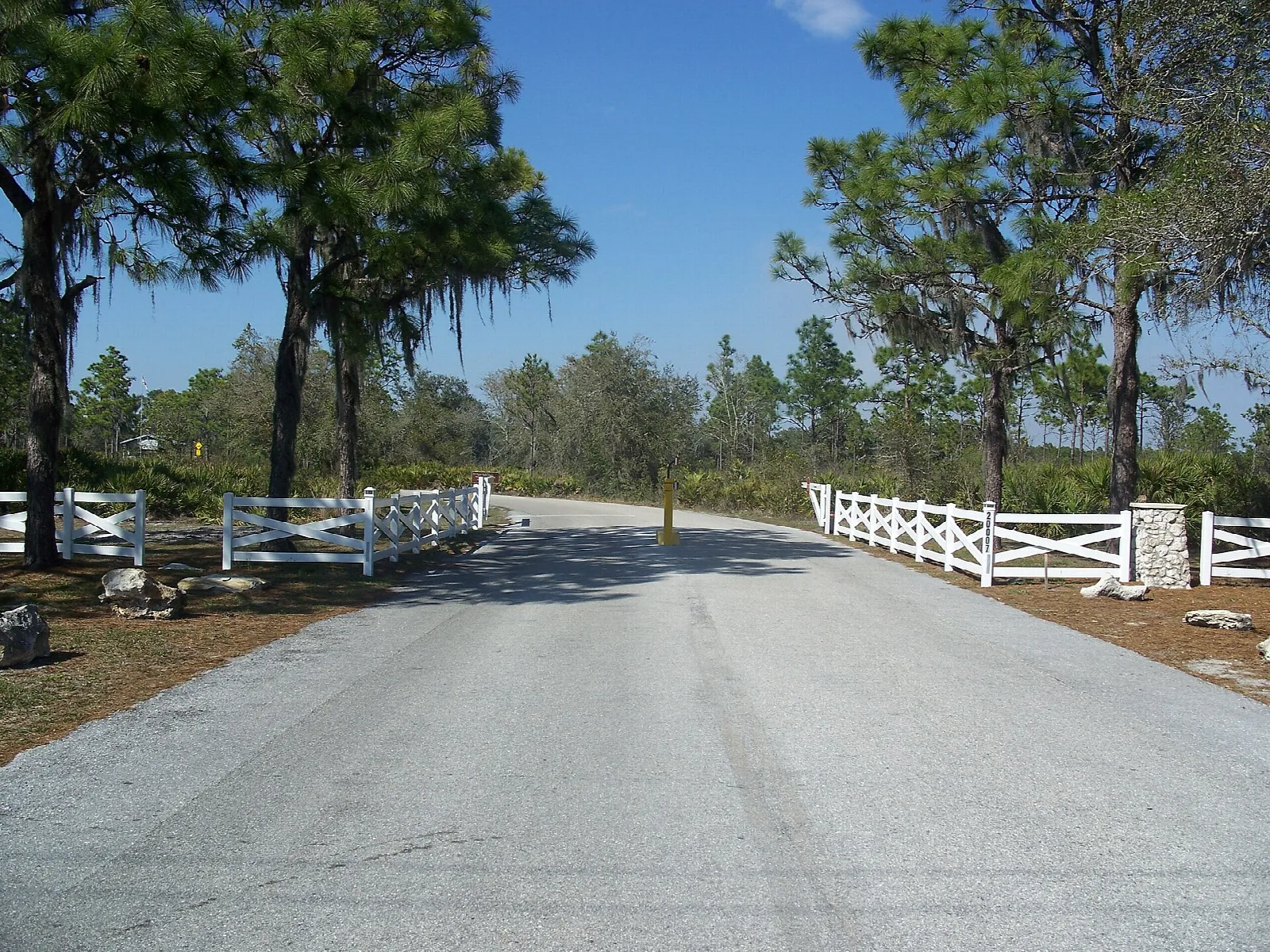 Paved park road with white fences and pines