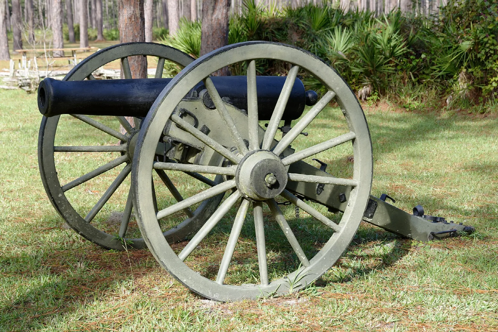 Cannon on a grassy lawn with palmettos and pines behind