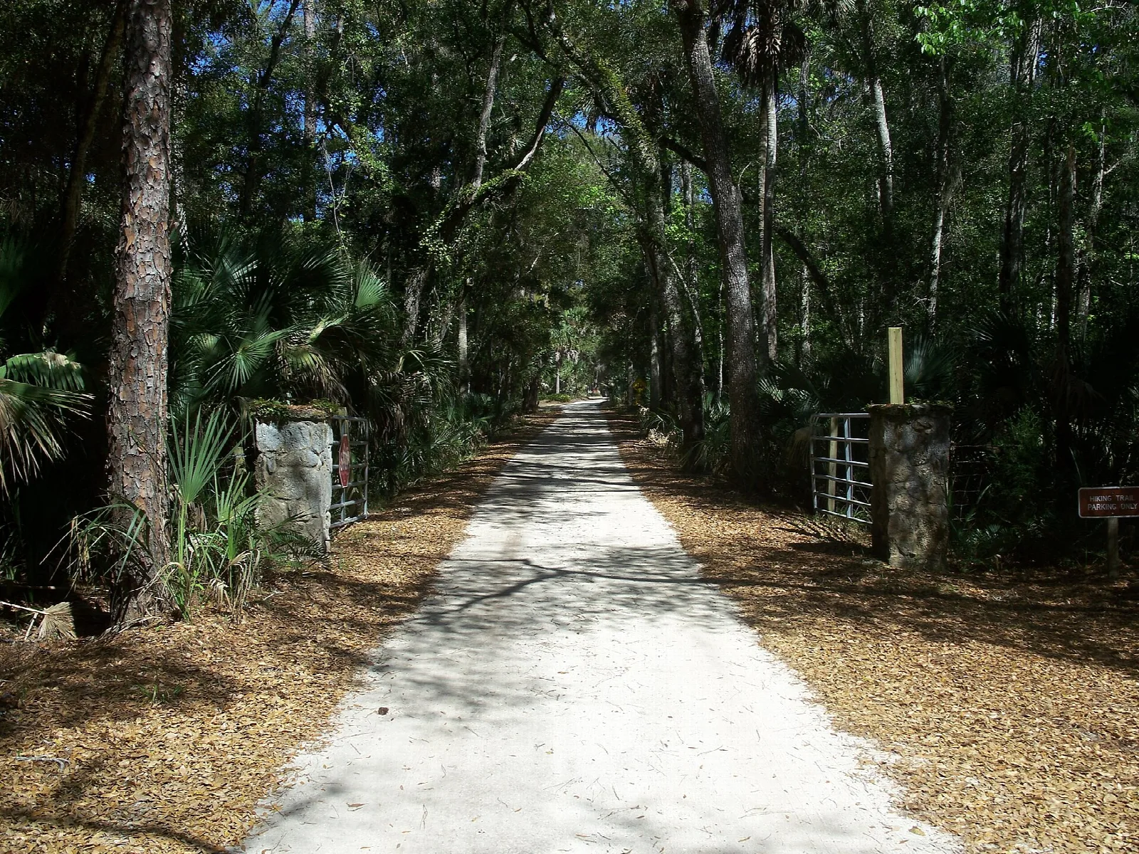 Sandy road lined with palms and oaks through a stone gate