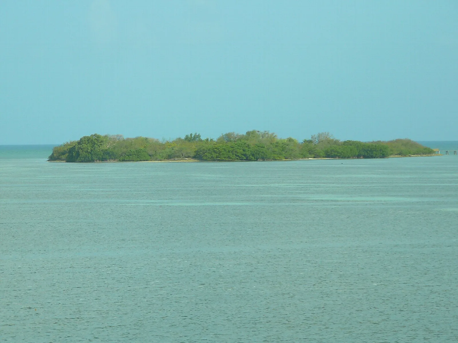 Low green island on the horizon over calm pale water