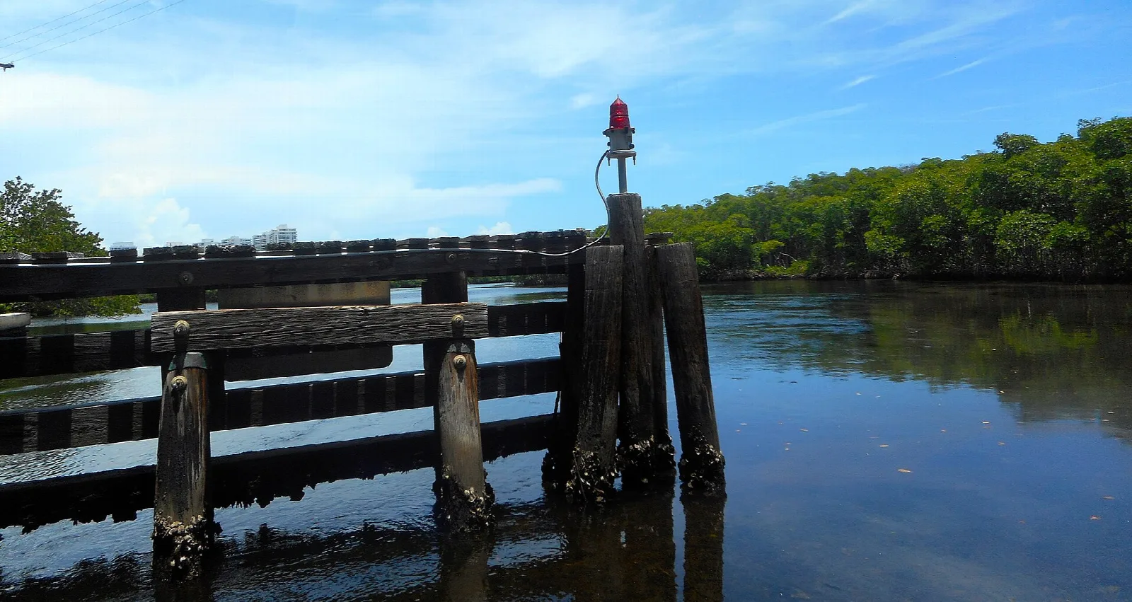 Old wooden pilings and a channel marker at the edge of the water