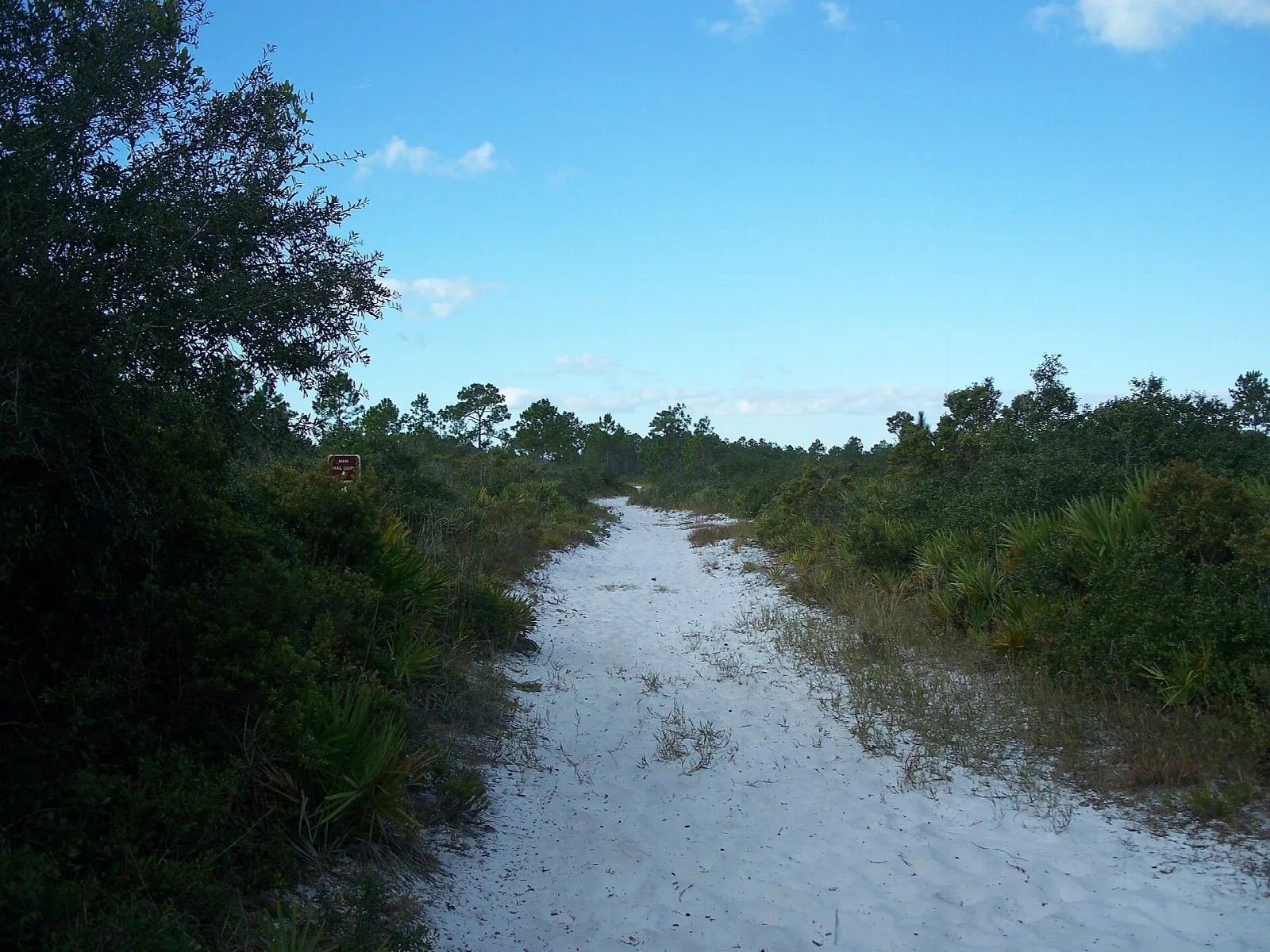 White sand trail bending between shrubs under blue sky