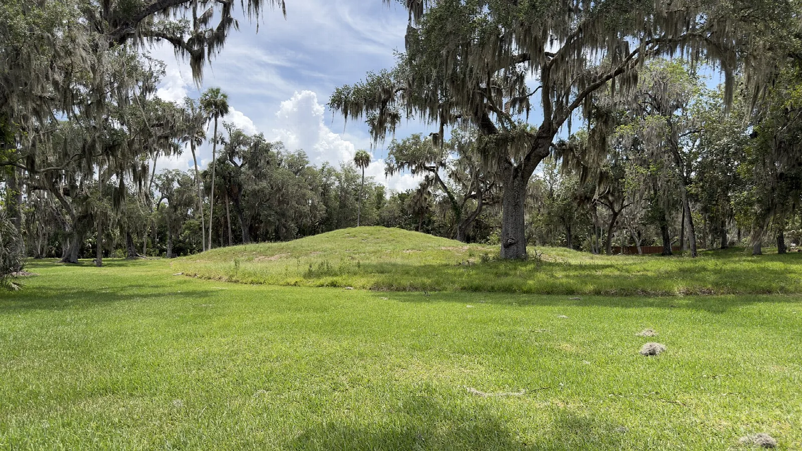 Low grass-covered mound on a lawn under oaks hung with moss