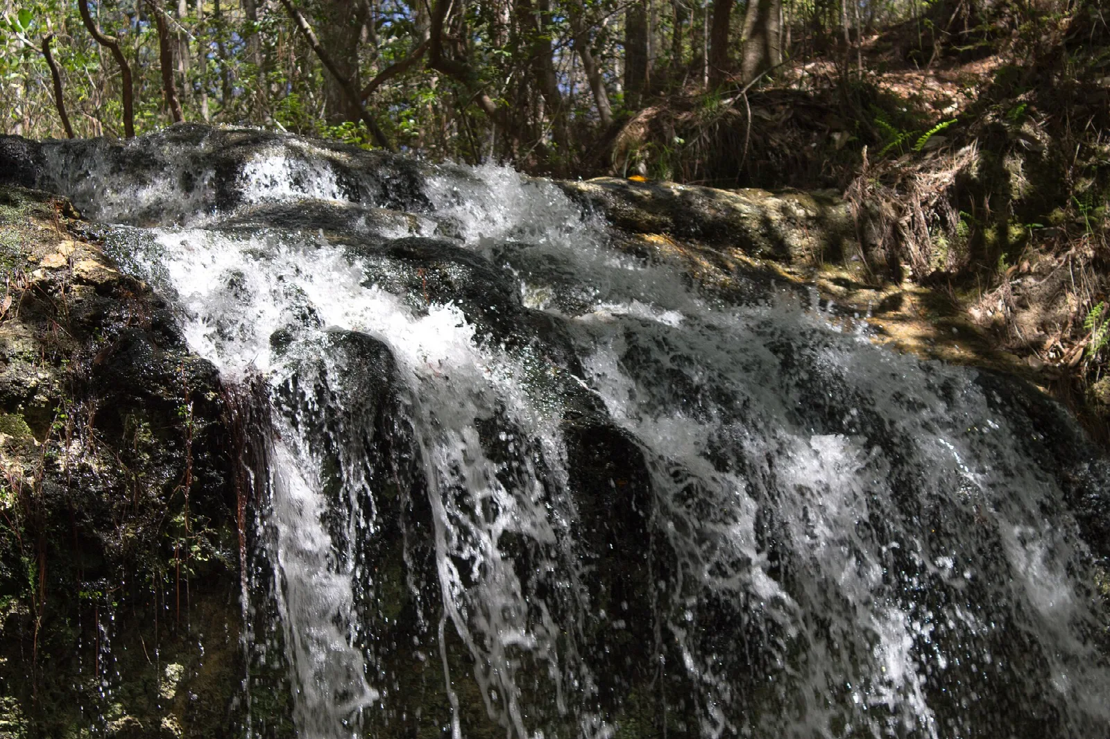 Waterfall spilling over dark rock among trees