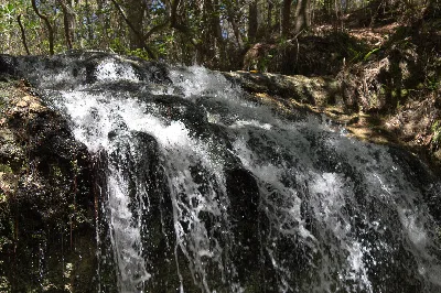 Falling Waters State Park