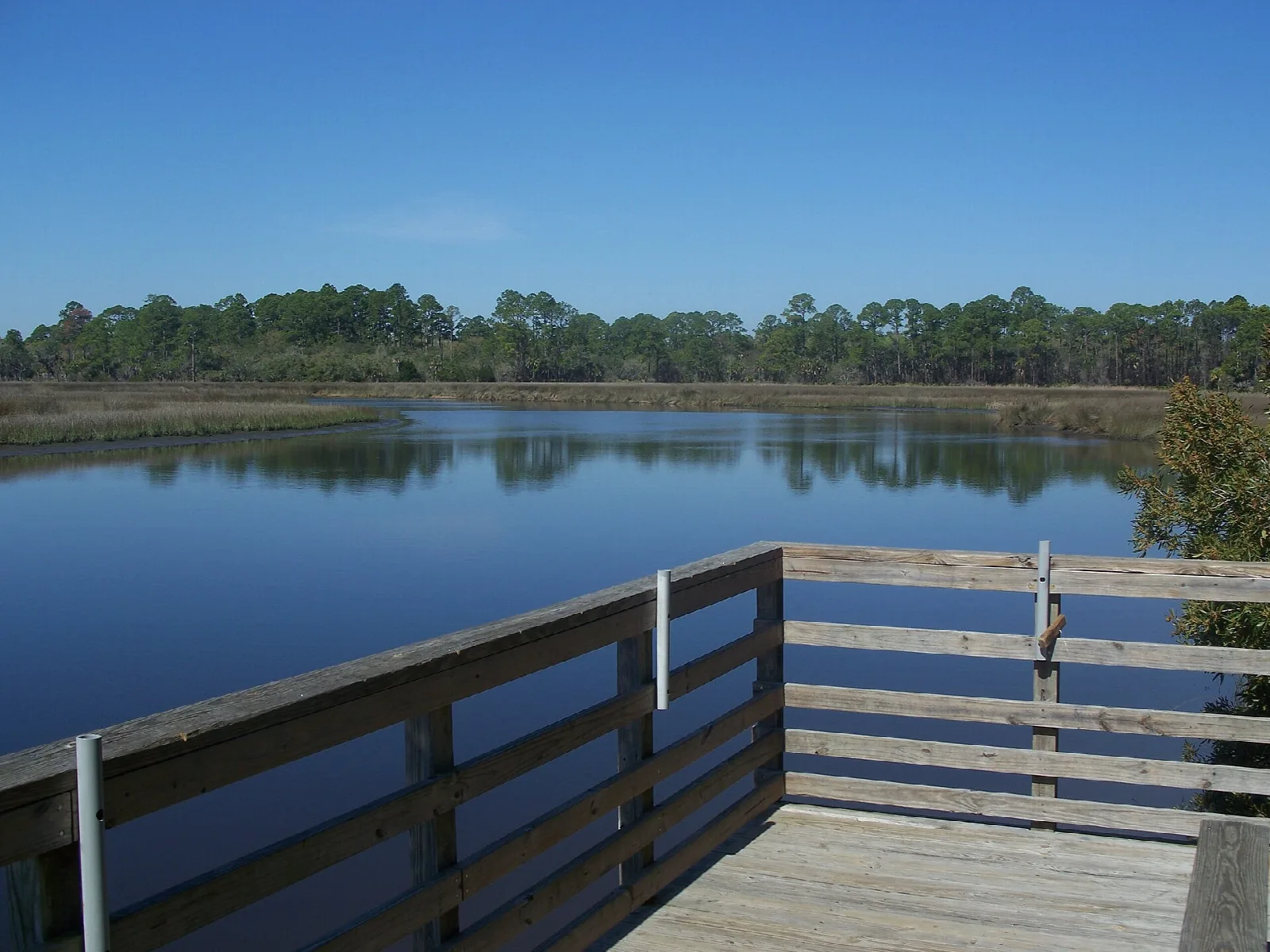 Wooden deck rail overlooking a creek and marsh