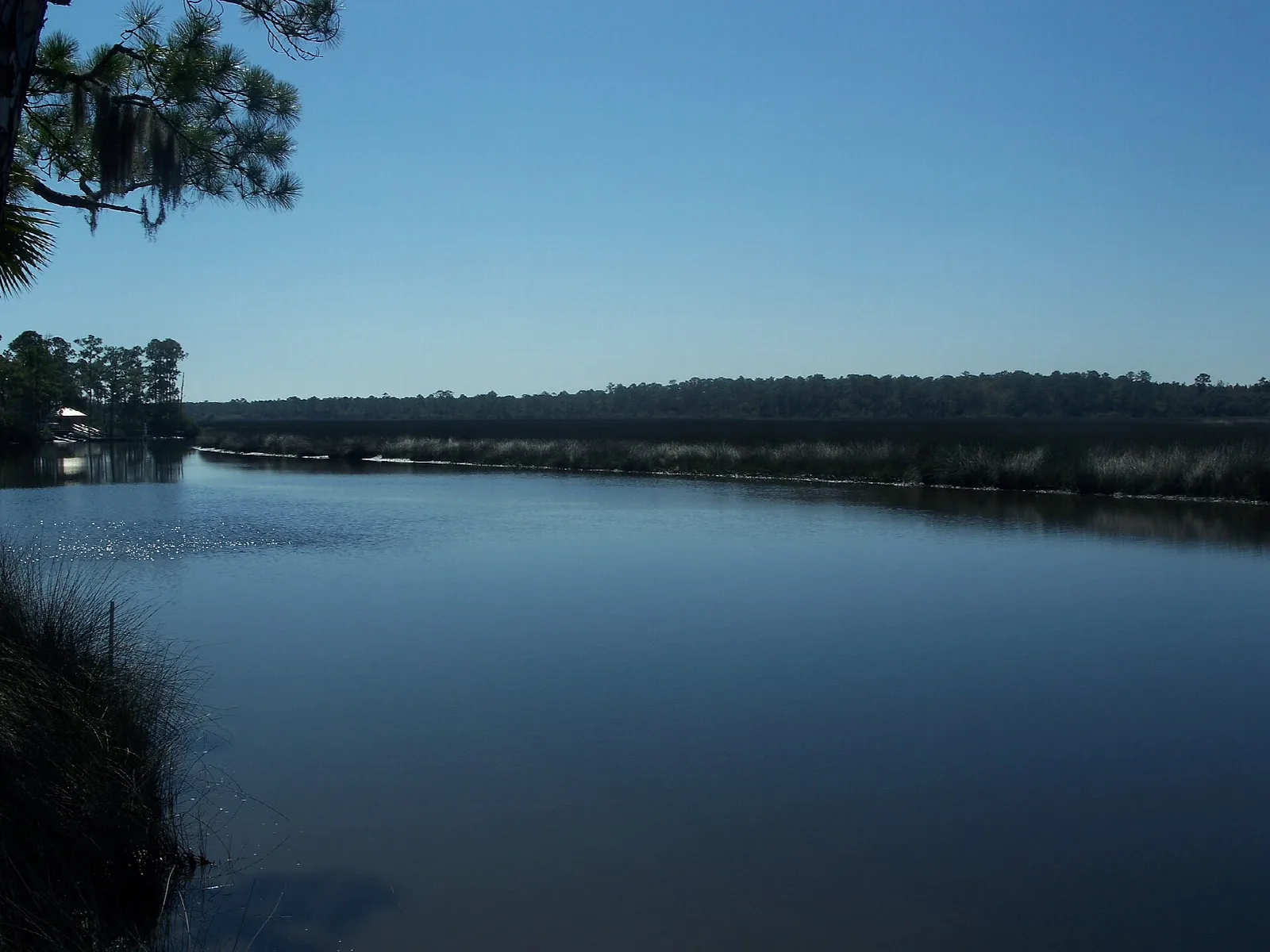 Wide blue creek bend with marsh grass and trees