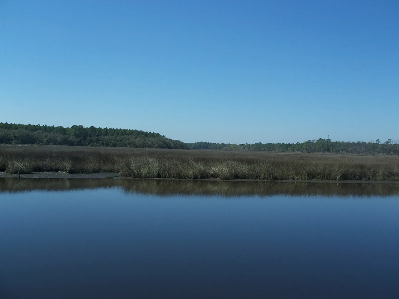 Calm creek with marsh grass and a distant tree line under a blue sky