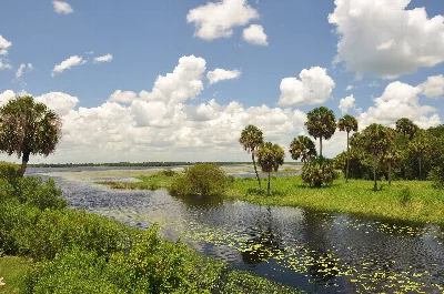Myakka River State Park