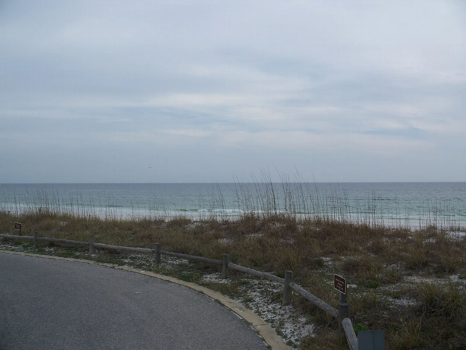 Gray sky over a sandy beach with sea oats and a paved path