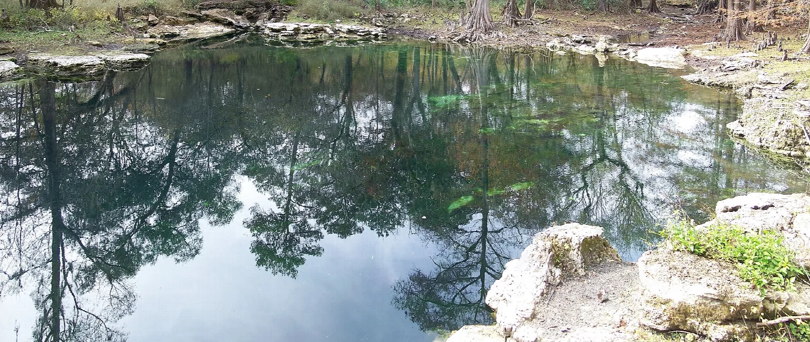 Still spring pool reflecting trees, with limestone rock along the edge
