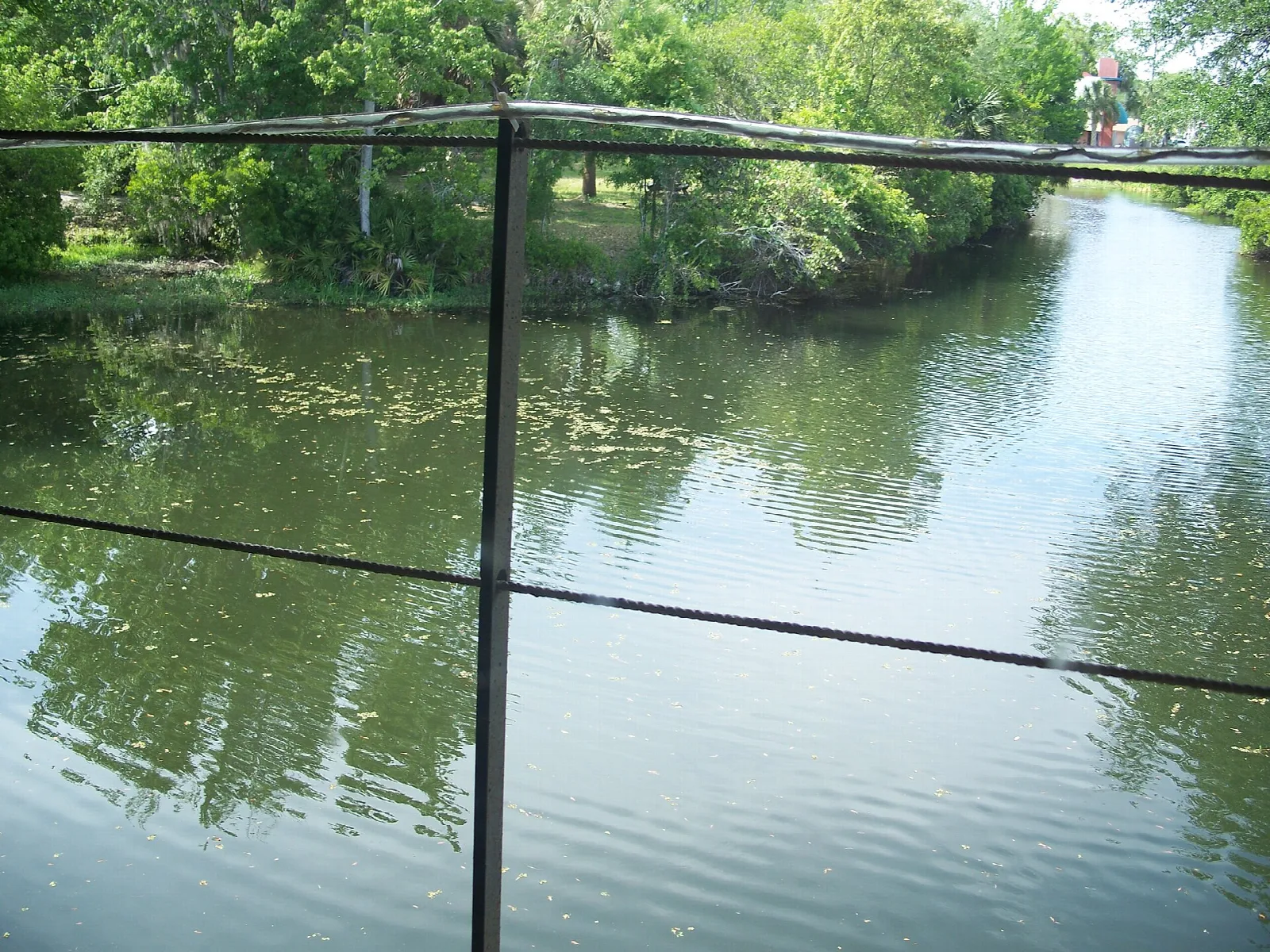 Quiet river lined with trees behind a wire fence