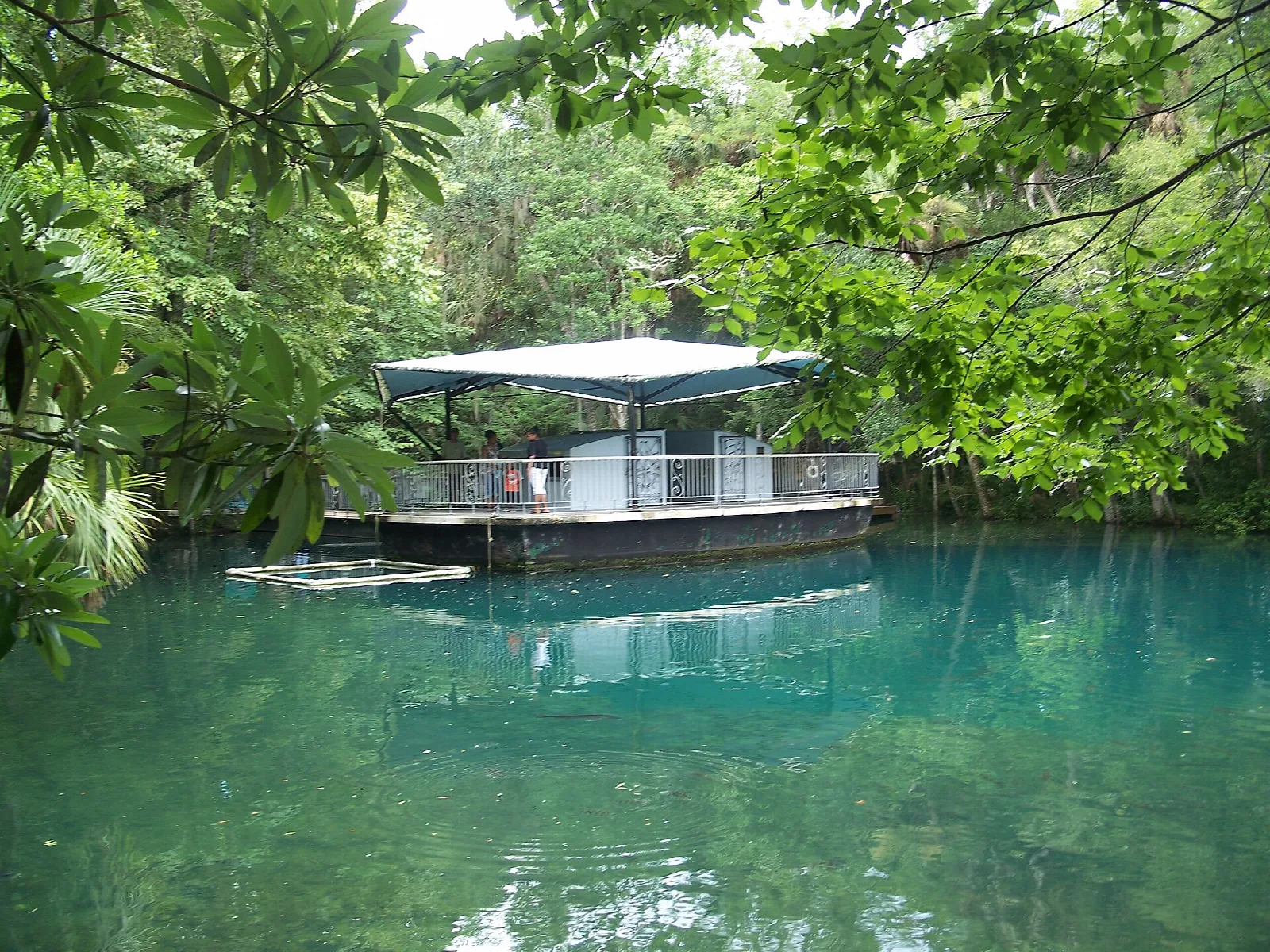 Covered viewing platform floating on a clear turquoise spring