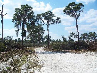 Lake June-in-Winter Scrub Preserve State Park