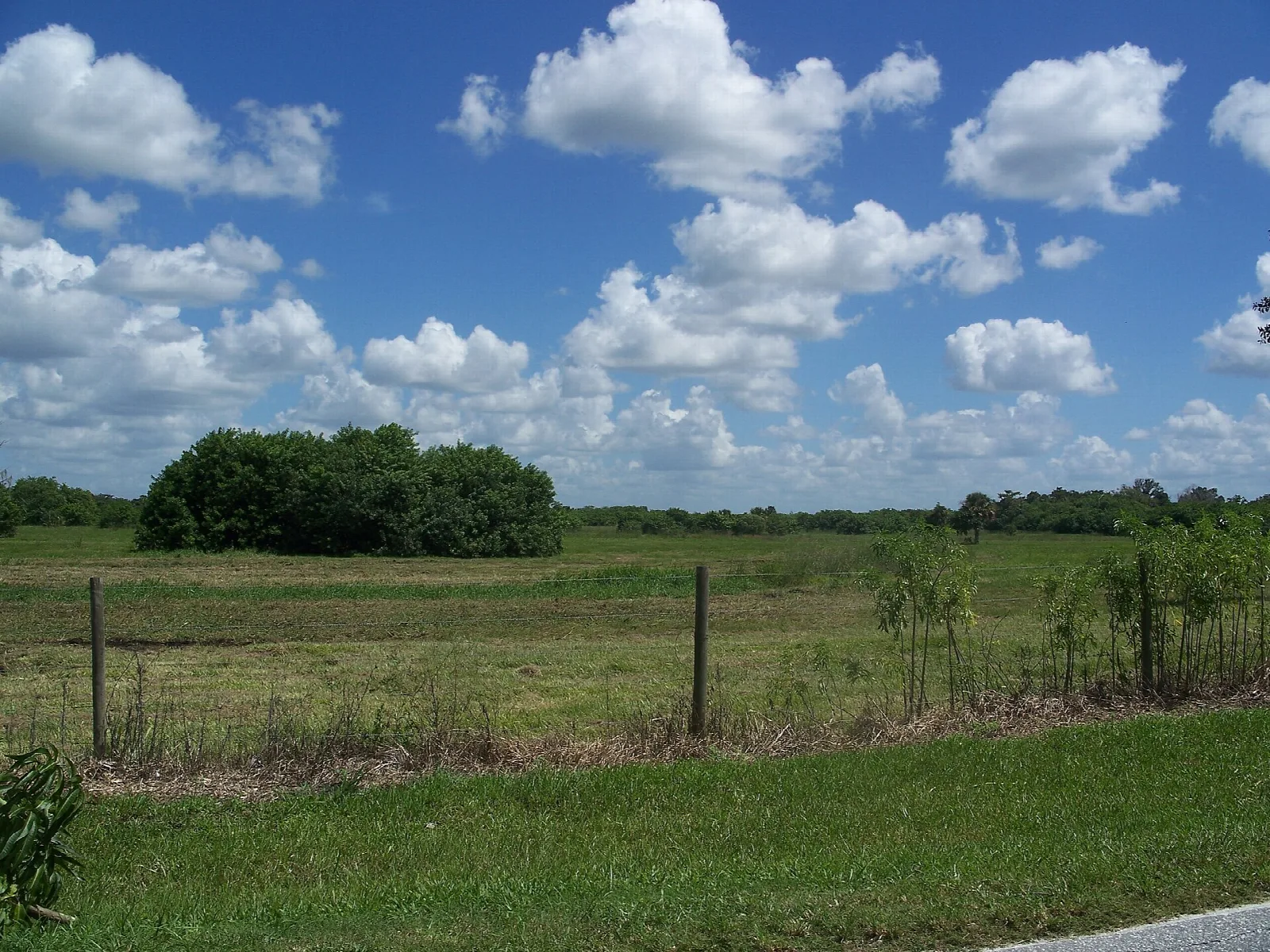 Open green field with a tree line under a cloudy blue sky
