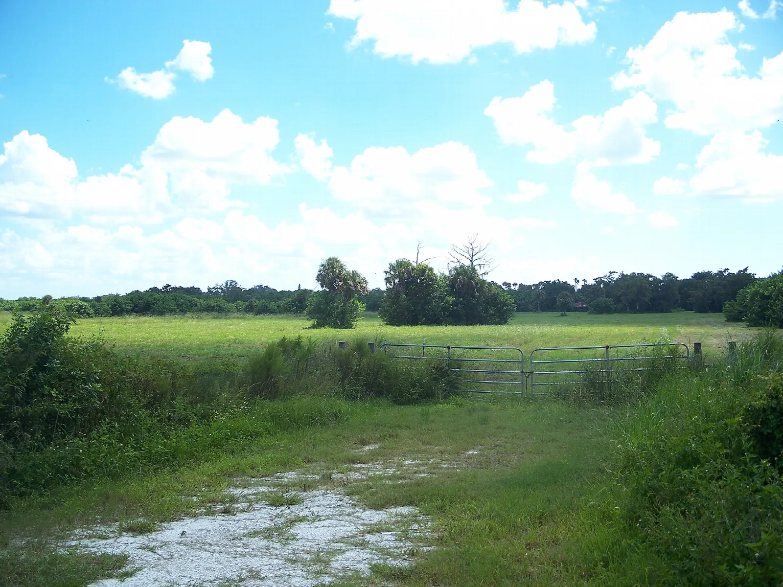 White gravel path edging a green field with distant trees