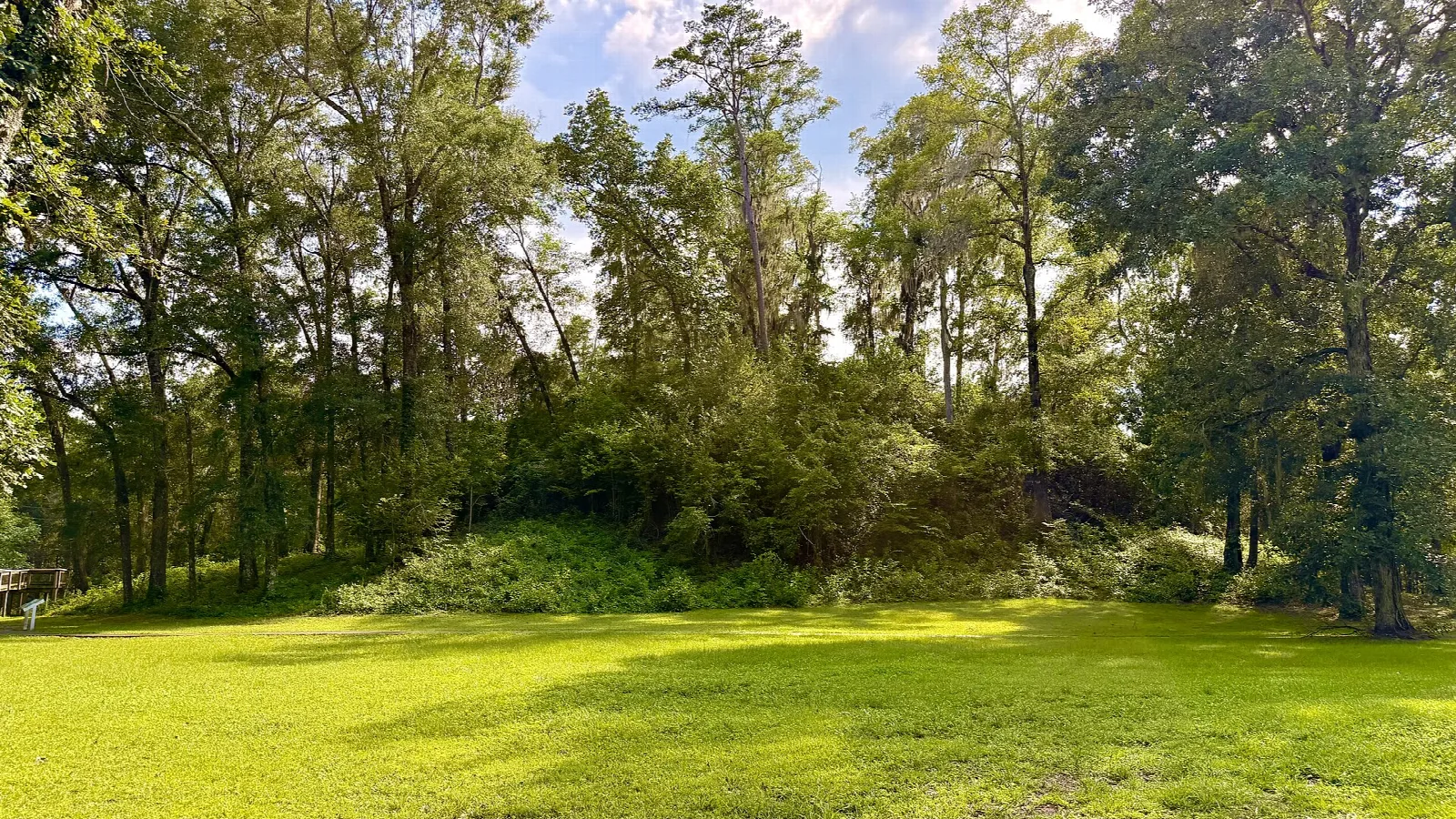 Grassy mound with trees behind and a bright green lawn in front