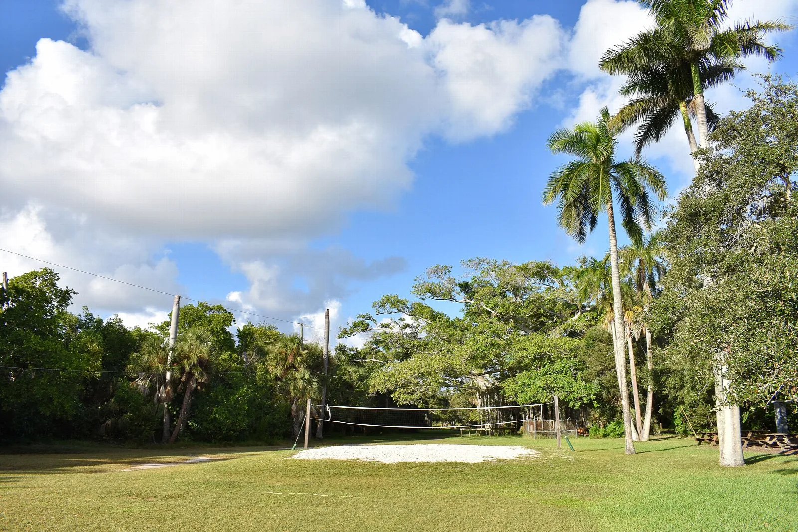 Volleyball net on a green lawn with palms