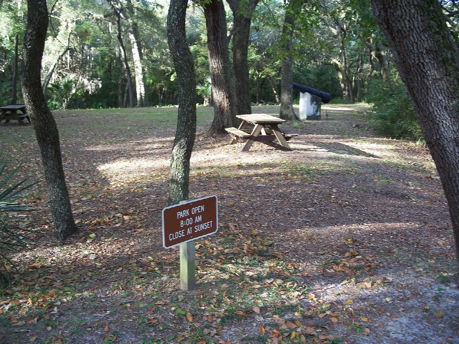 Shady clearing with a picnic table under oaks