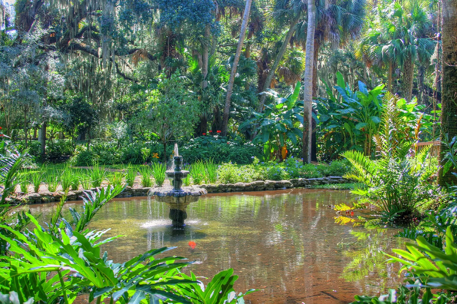 Fountain pond ringed by lush tropical plants
