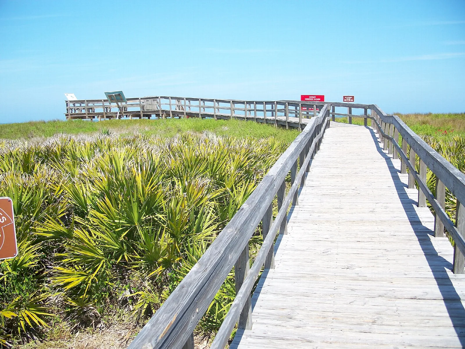 Wooden boardwalk through palmettos to an overlook