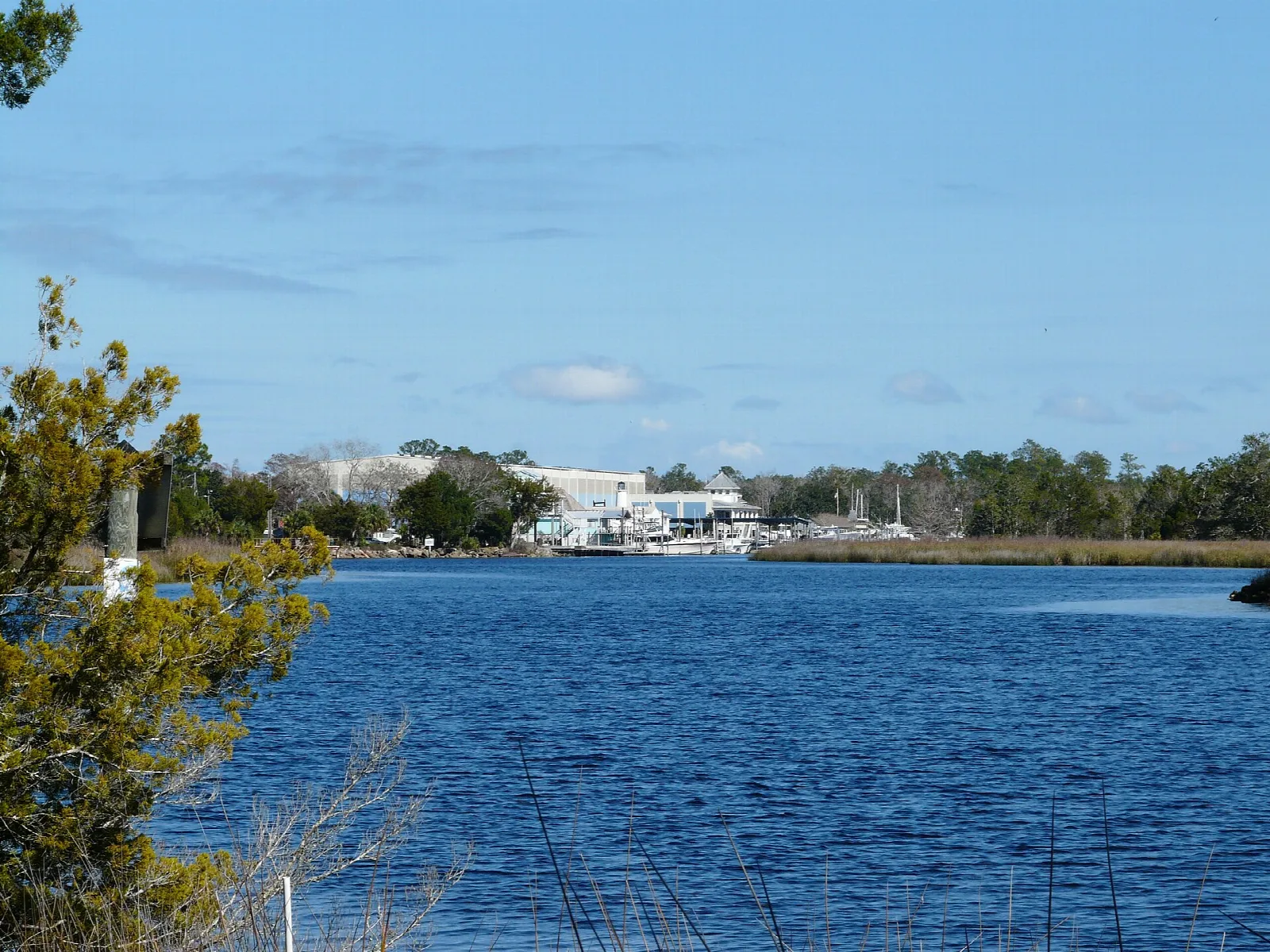 Blue river with a far shore and marina