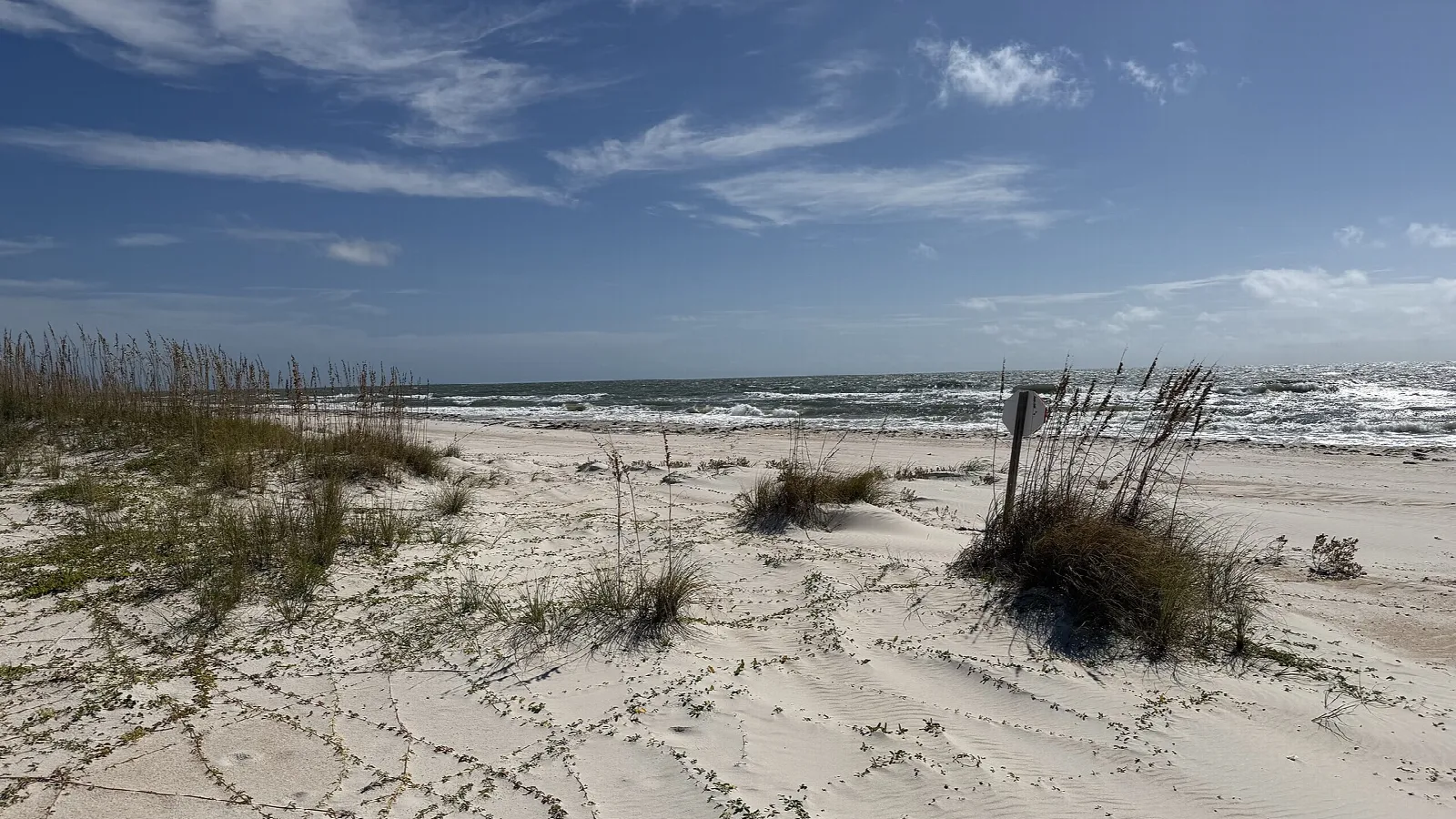 Sandy dunes with sea oats and surf under a blue sky