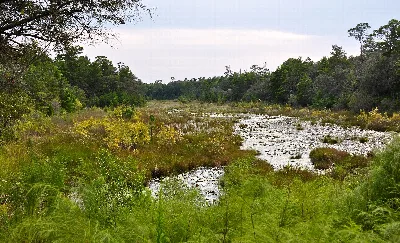 Fred Gannon Rocky Bayou State Park