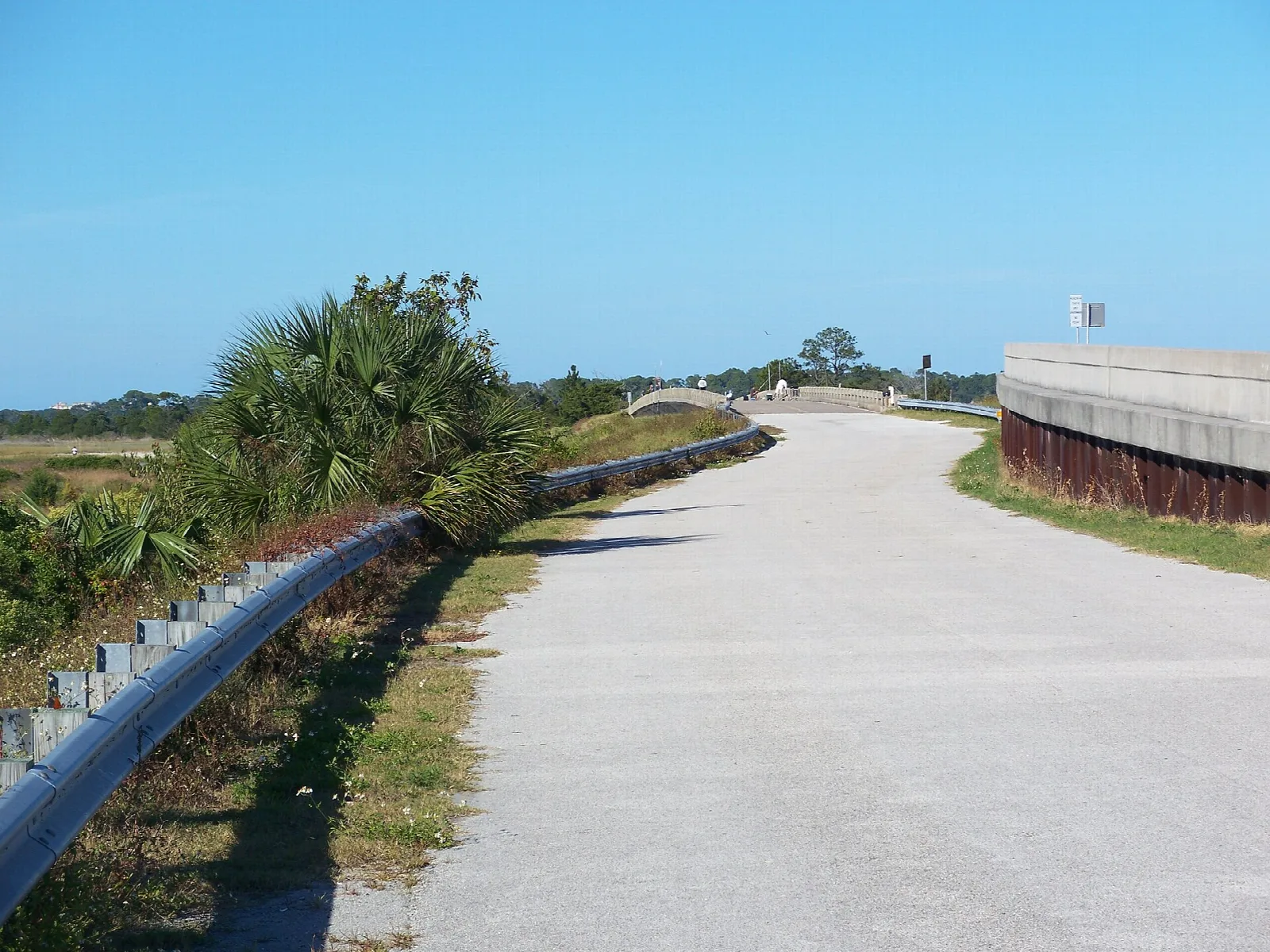 Paved path along a seawall with palmetto and a distant tower
