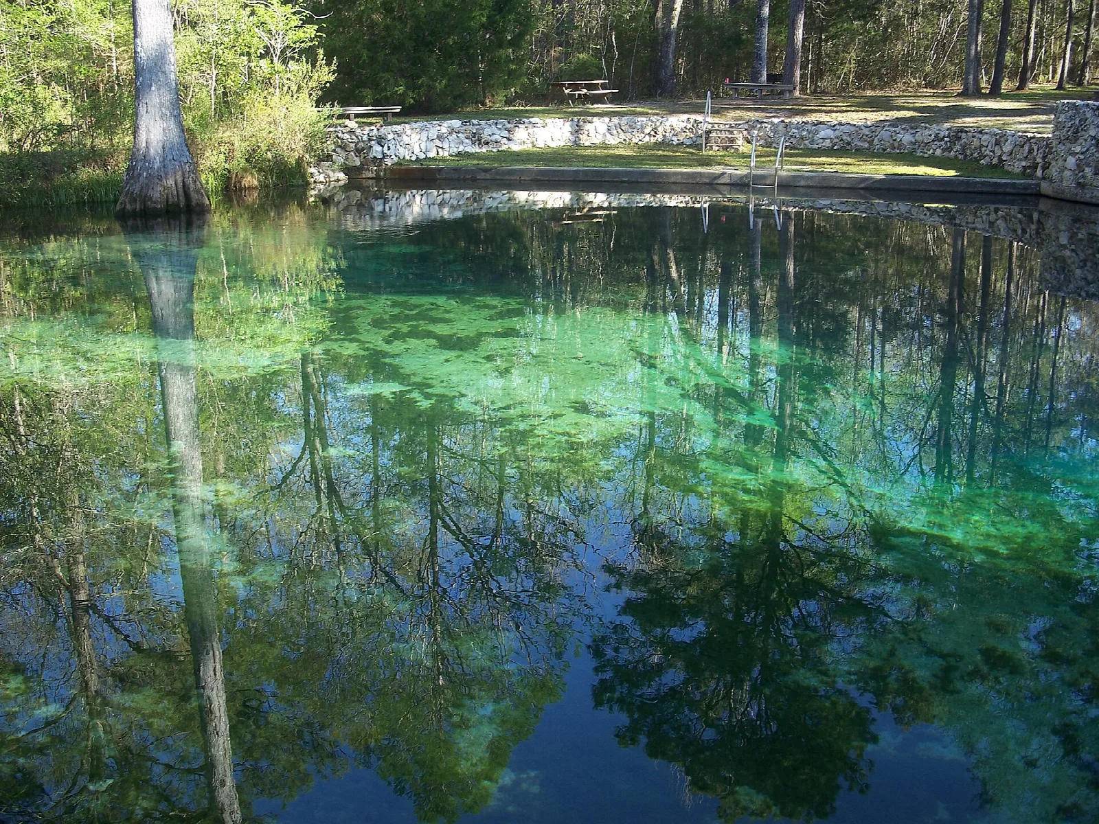 Green-blue spring water ringed by trees and a stone wall