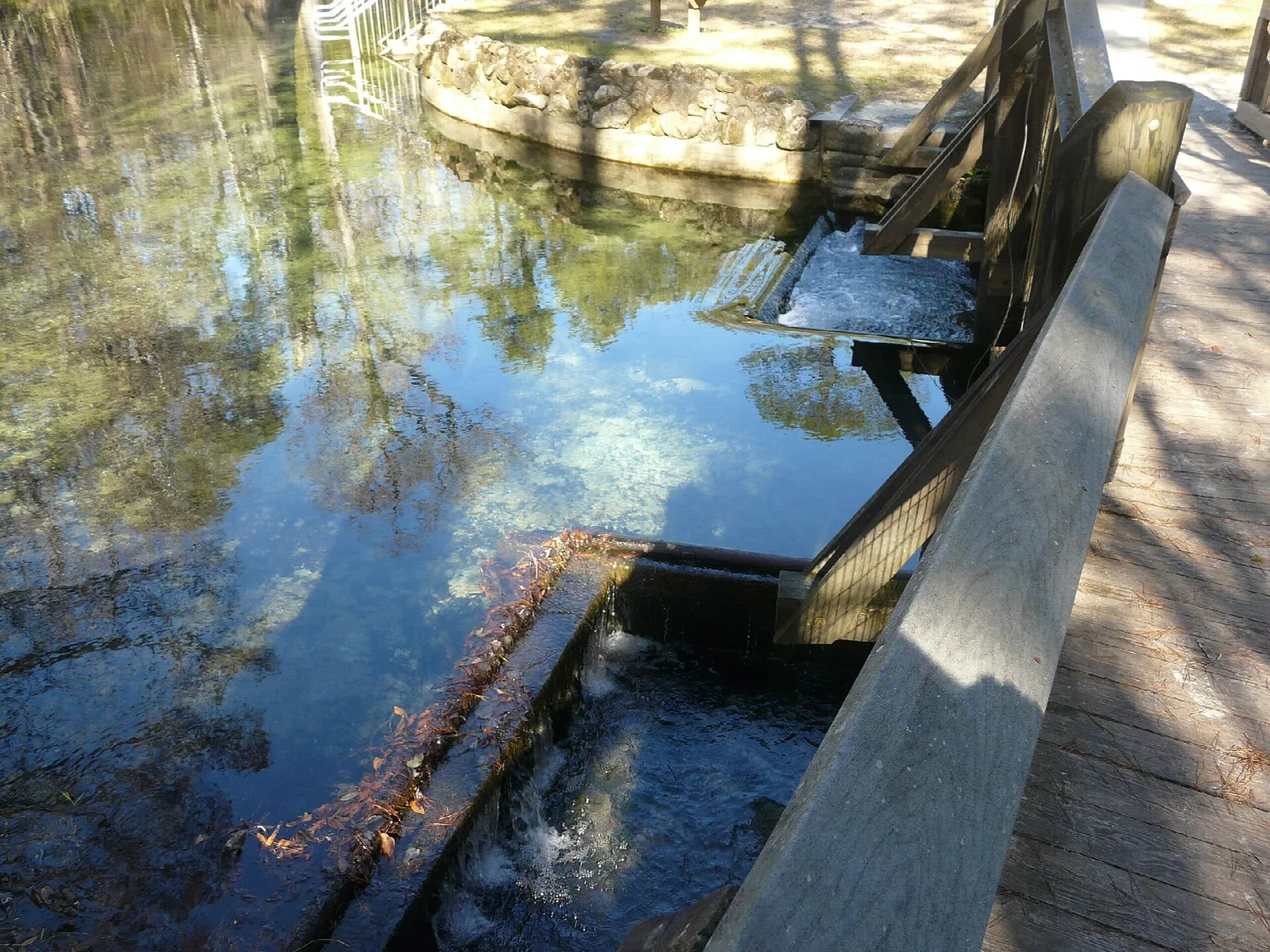 Spring outflow beside a wooden walkway