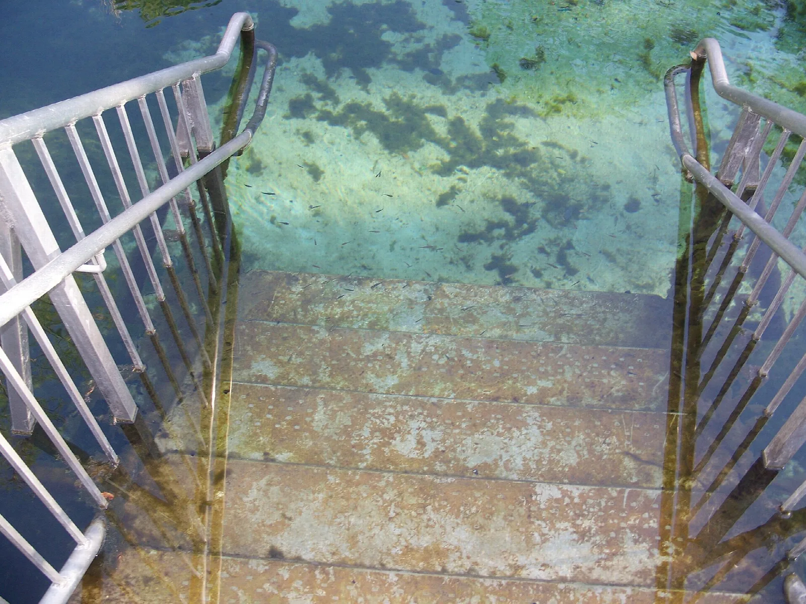 Metal stair rails going down into clear spring water