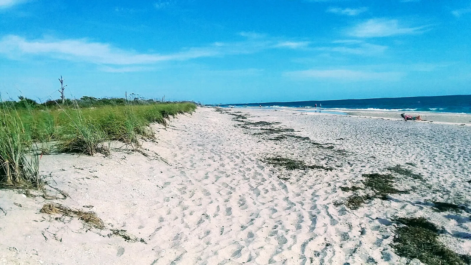 Wide white sand beach beside the Gulf