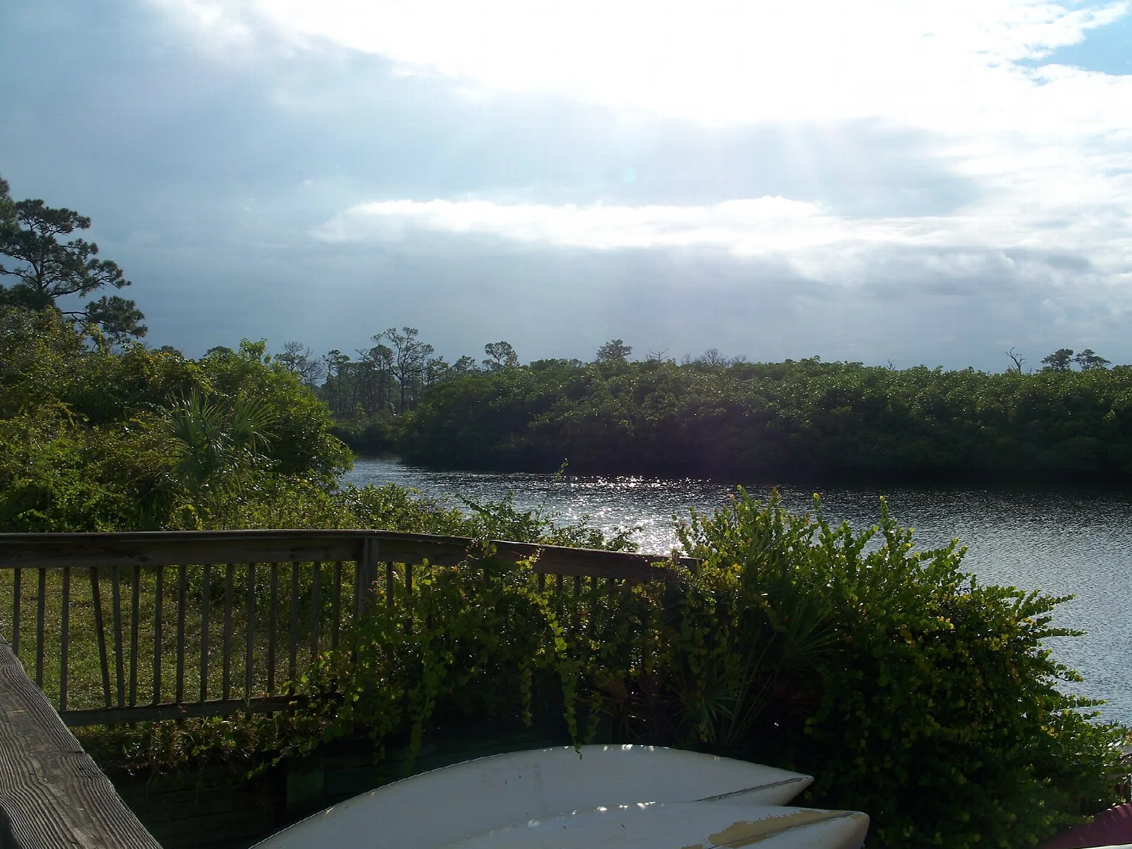 Quiet river bend lined with mangroves seen from a wooden deck