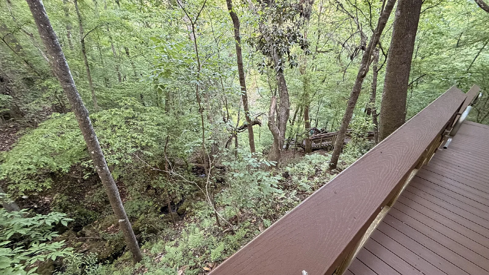 Wooden boardwalk rail over a green ravine slope